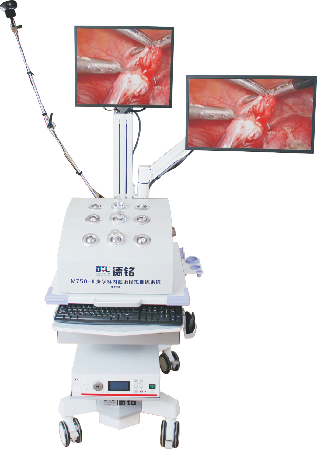 1735468057186832.png 7.png